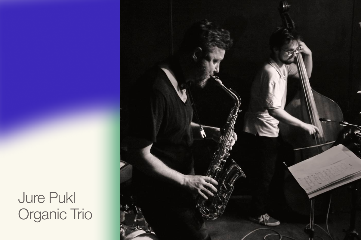 Jure Pukl Organic Trio